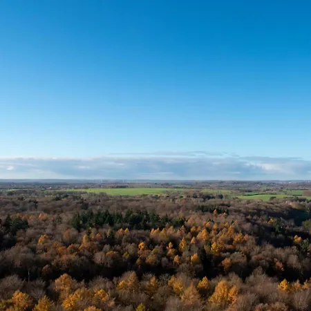 Apartment Residenz App 373 - Timmendorfer Timmendorfer Strand